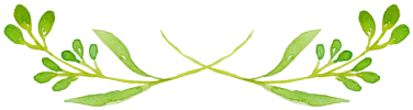 img_1.png img_1.png
